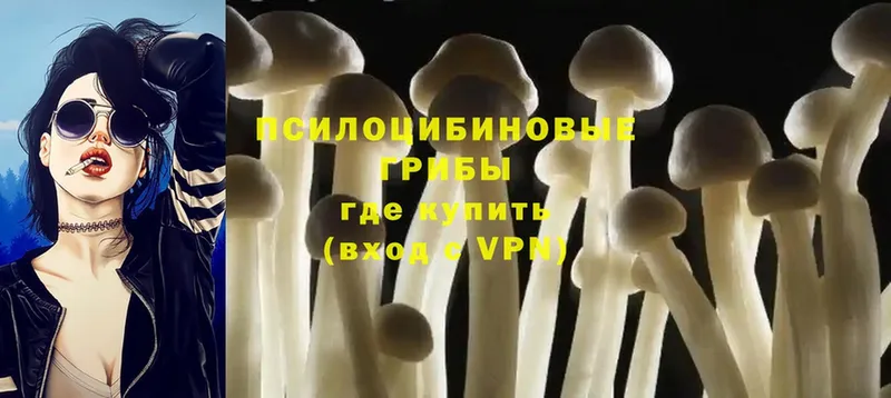 ссылка на мегу ссылка  Бузулук  Псилоцибиновые грибы Psilocybe  наркотики 